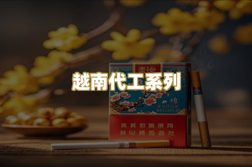 越南代工系列
